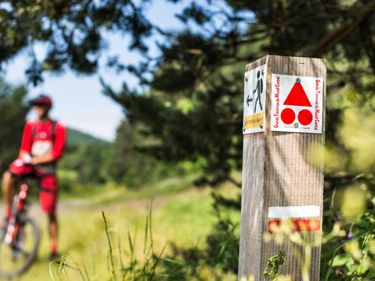 Signposting of mountain bike routes
