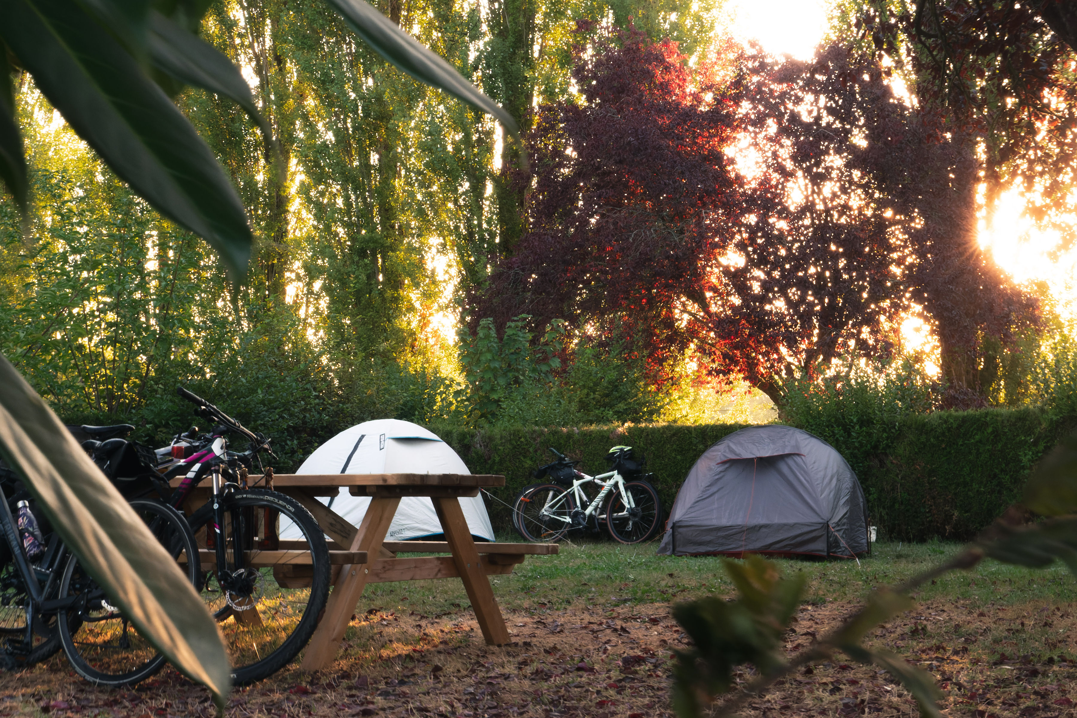 lever de soleil au camping