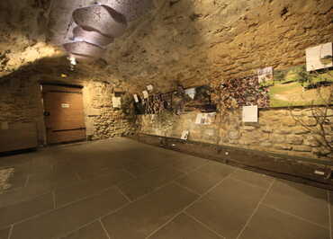 Exposition photos - Musée de la truffe et du vin