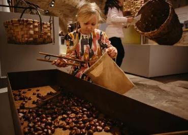 Jeu du ramassage de châtaignes