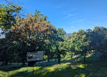 LA FERME DU CHÂTAIGNIER