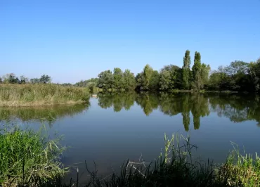 Bird Gravel Pit