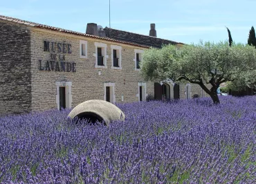 Musée de la Lavande