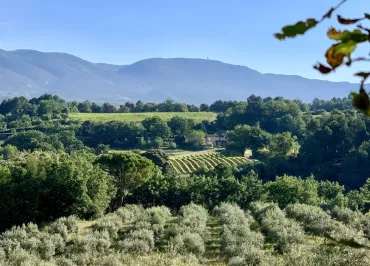 Bastide du Laval Luberon