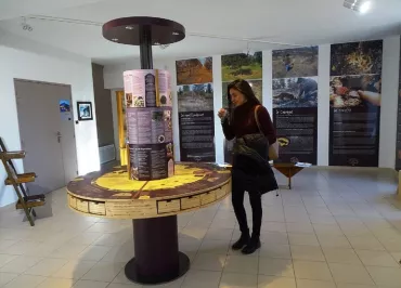 Ventoux Truffle museum