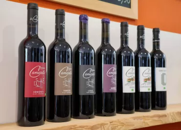 Domaine de la Camarette