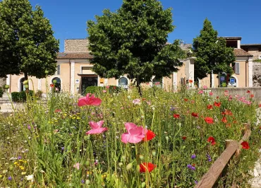 Pays Diois Tourist Office - Die