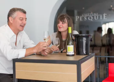 Introduction to tasting at Château Pesquié