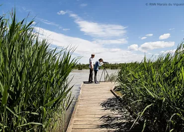 The marshes of the Vigueirat
