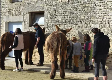 Après-midi avec les Soigneurs