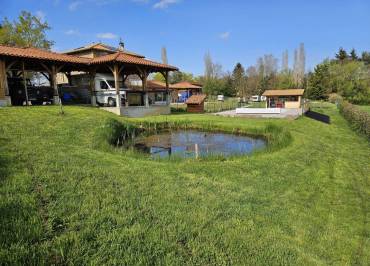 Tonik Camping