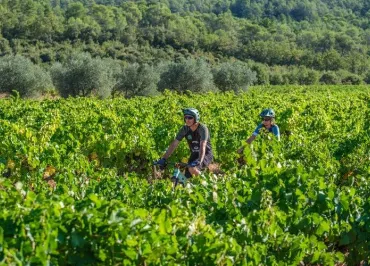 Cycles Thaon Bike Adventure