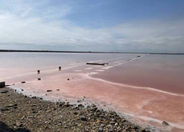 LE SALIN DE L'ÎLE SAINT-MARTIN