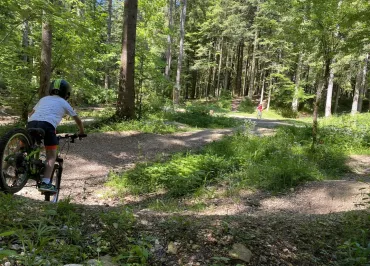 Station de Loisirs de la Combe Saint-Pierre - Bike park