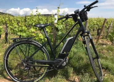 Bourgogne Randonnées