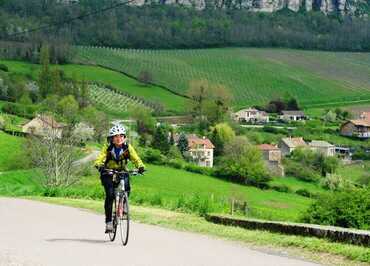 Bike and Wine Tours by Active Tours