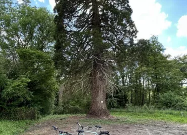 Azay le Rideau Cycles
