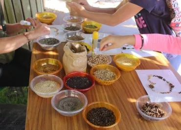 Maison du terroir et d'animations de Beaulieu sur Loire