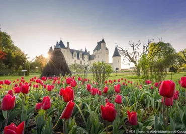 Château et Jardins du Rivau