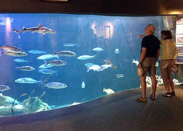 MARÉIS : Centre de découverte de la pêche en mer