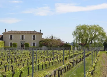 Château La Renommée