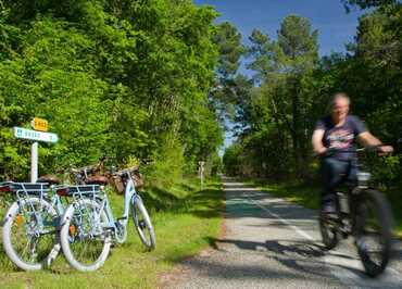 Les Cycles du Bazadais