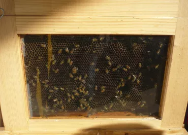 La Miellerie de Surimeau