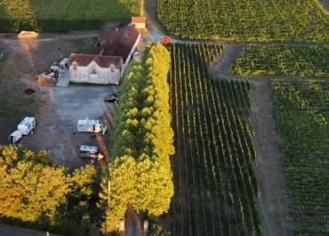 Vignoble Pestoury
