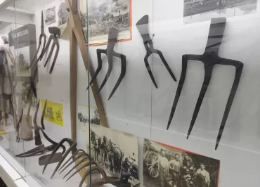 Musée des Arts et Traditions populaires