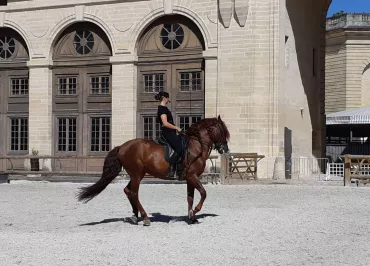 Musée vivant du Cheval - Grandes Ecuries du Château de Chantilly
