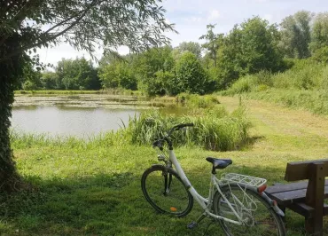 Location de vélo, kayak et paddle - Maison Eclusière de Long