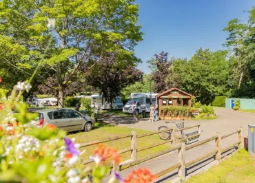 Camping Les Pins