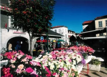 BUREAU D'INFORMATION TOURISTIQUE DE MONTREJEAU