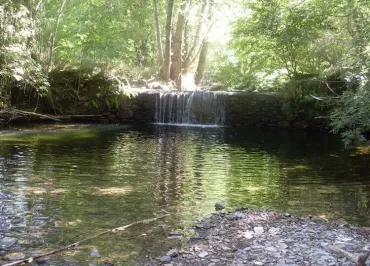 MAS SAINT AULARY - MEUBLE