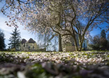 Domaine d'Harcourt © Département de l'Eure, S. Bachelot