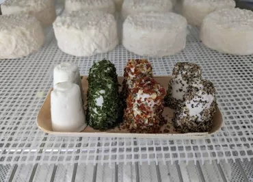 Les Chèvres de St Céneri