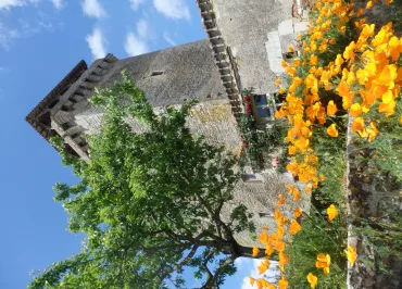 Donjon