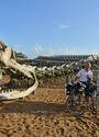 bike tours in loire