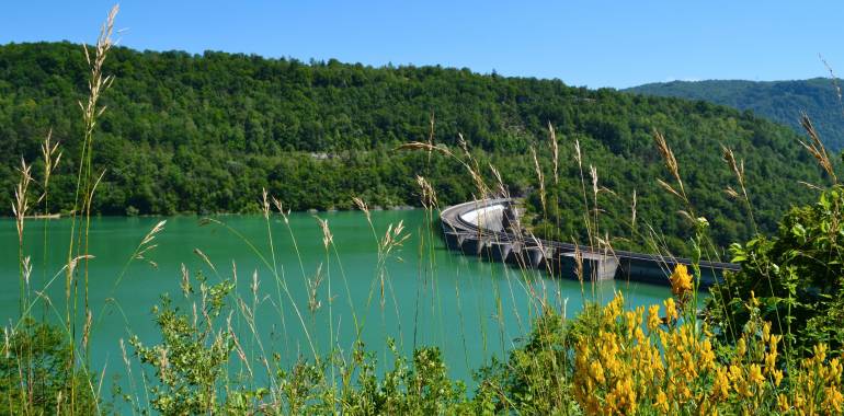 Tour du lac de vouglans en vélo best sale de route