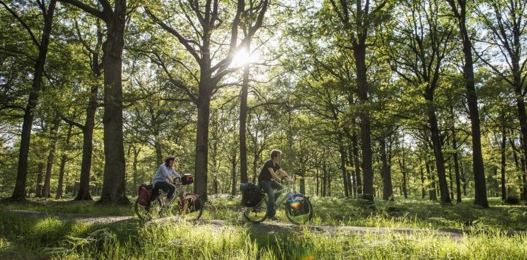 Paris discount versailles velo