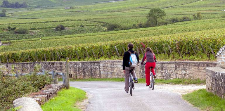 The Burgundy Vineyard Way by bike: Nuits-St-Georges / Beaune