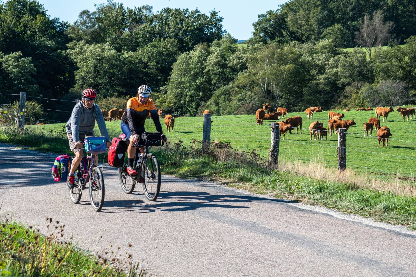 Tour de online vélo