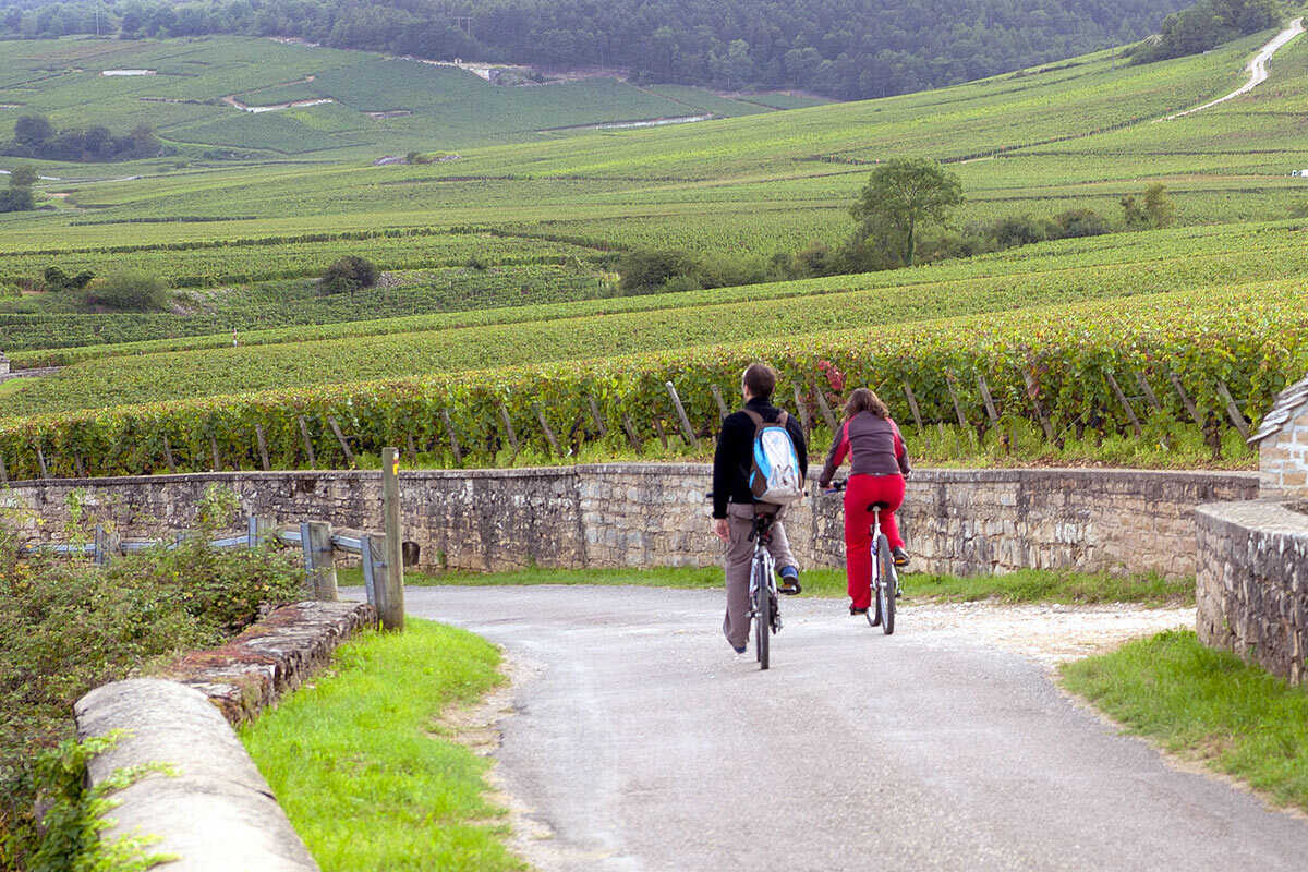 beaune wine bike tour