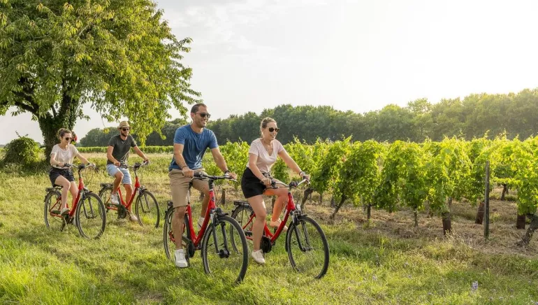 La Petite Reine - Location de vélos, Bicycle rentals/ repairs to