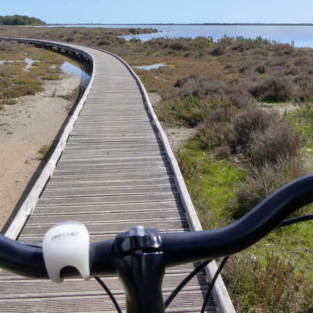 La Camargue A Velo De Sete A Beaucaire