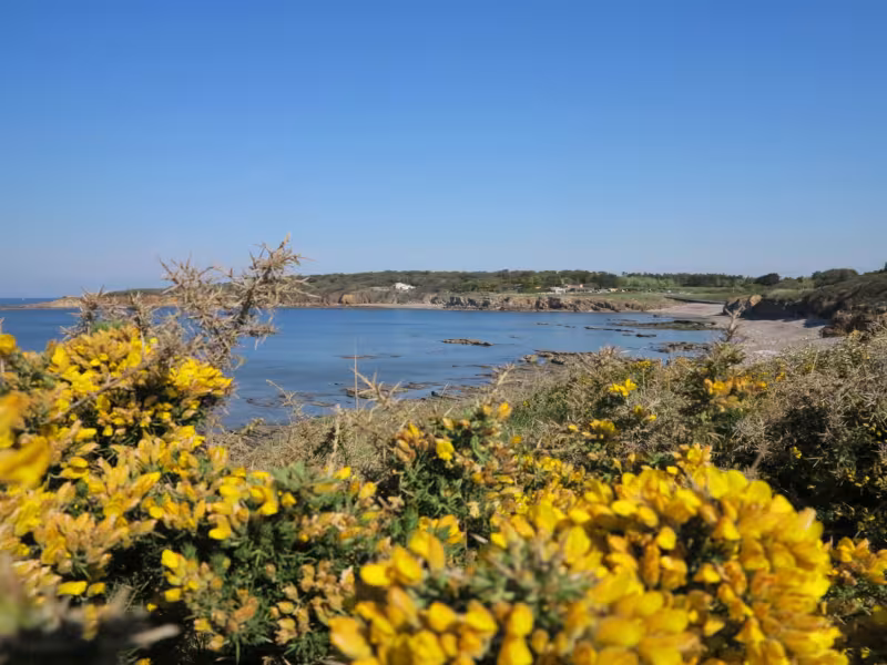 La baie de Cayola