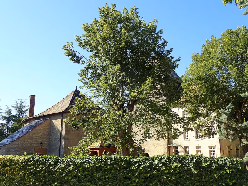 Château de Santenay