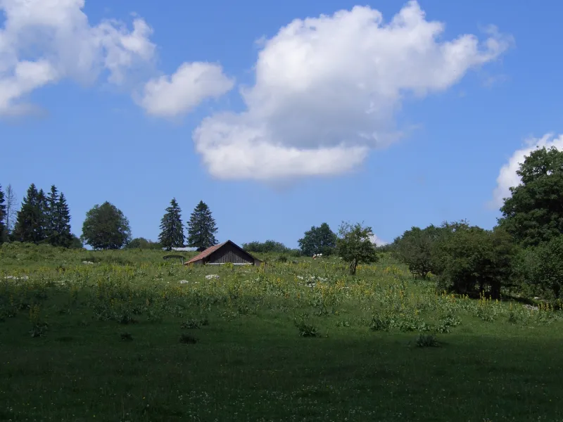 Vue sur les prairies