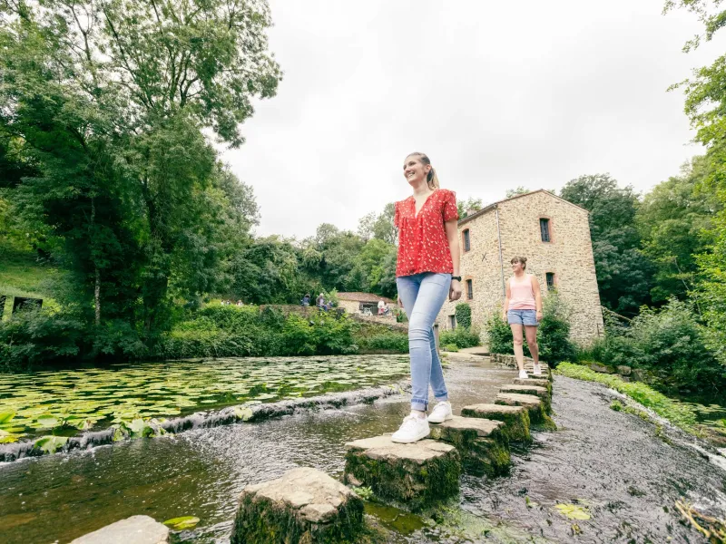 Maison de la Rivière