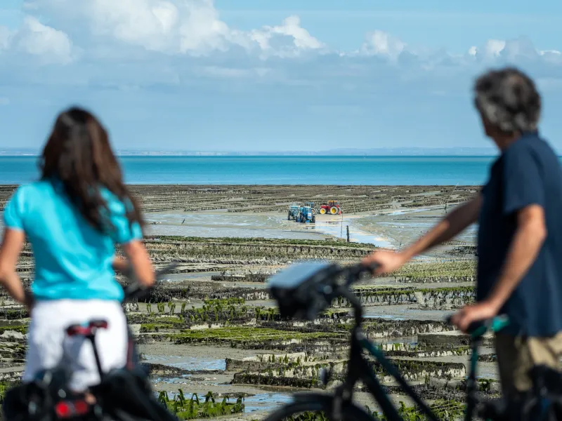 Les bouchots à Cancale